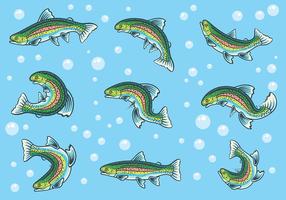 Rainbow Trout Icons Vector