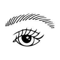 mano disegnato bellissimo occhio con lussureggiante ciglia. vettore illustrazione isolato su bianca