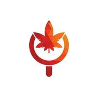 canapa ricerca logo design vettore modello. marijuana foglia e lente di ingrandimento logo combinazione. canapa e ingrandimento simbolo o icona.