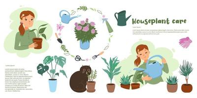 carino pianta della casa cura infografica con gatto e ragazza. vettore grafica.