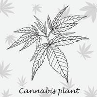 semplicità pianta di cannabis disegno a mano libera design piatto. vettore