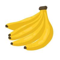 cartone animato banane. sbucciare Banana, giallo frutta e mazzo di banane. tropicale frutta, Banana merenda o vegetariano nutrizione. isolato vettore illustrazione icone impostare,