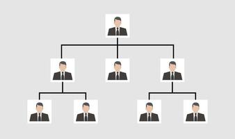 grafica informazioni organigramma, disegno vettoriale