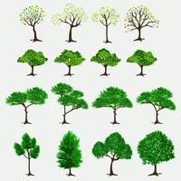 alberi illustrazione design fascio. natura arte vettore