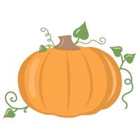 autunno verdura zucca, colore vettore isolato illustrazione icona