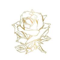 printhand disegnato rosa. vettore illustrazione. Vintage ▾ tatuaggio stile rosa. fiore motivo schizzo per design. inchiostro illustrazione isolato.