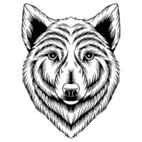 nero e bianca lupo testa vettore illustrazione