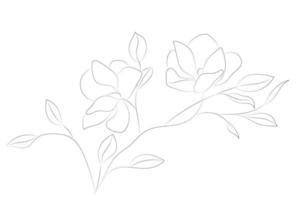 bianca sfondo con un' contorno disegno di un' magnolia ramo, orizzontale sfondo, schizzo, isolato su bianca vettore