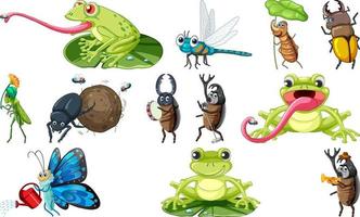 impostato di vario insetti e anfibi cartone animato vettore