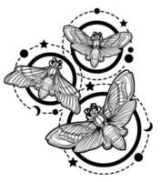 farfalla di arte del tatuaggio vettore