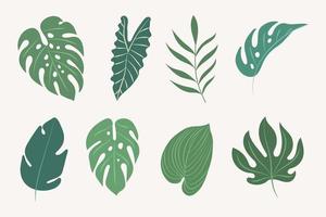 set di foglie tropicali vettore