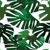 verde Monstera modello bianca sfondo. esotico modello con tropicale le foglie. vettore illustrazione. Monstera foglia modello. tropicale palma le foglie. esotico design tessuto, tessile Stampa, involucro carta