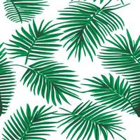 giungla vettore illustrazione con tropicale le foglie paterno. di moda estate Stampa. esotico senza soluzione di continuità modello. turchese e verde tropicale le foglie. esotico giungla sfondo.