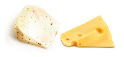 realistico formaggio pezzi, latteria azienda agricola produzione vettore