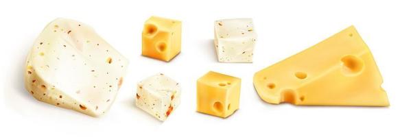 fresco formaggio blocchi con spezie vettore