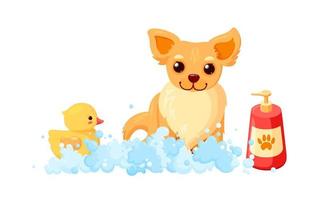 cane governare nel un' bagno con shampoo e anatra. chihuahua nel sapone schiuma isolato nel bianca sfondo. vettore illustrazione