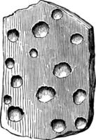 pioggia stampe, Vintage ▾ illustrazione vettore
