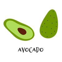 vettore illustrazione di maturo avocado nel mano disegnato piatto stile.