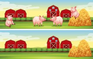 scene con maiali nella fattoria vettore
