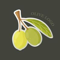un' bellissimo rametto di olive su un' verde sfondo. vettore illustrazione di olive logo. emblema, icona per Marche, aziende, marchi, eccetera.