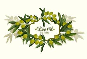 oliva olio migliore qualità vettore olive mazzo manifesto