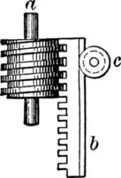 cremagliera e verme ingranaggi, Vintage ▾ illustrazione. vettore