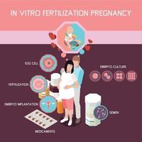 nel vitro fecondazione gravidanza isometrico infografica vettore