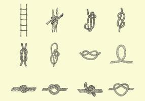 Varie forme di corda vettore