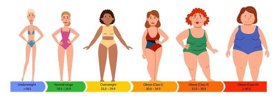 categorie con corpo massa indice. femmina sagome con un' spesso, normale e snello figura. vettore
