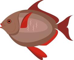 rosso pesce, illustrazione, vettore su bianca sfondo