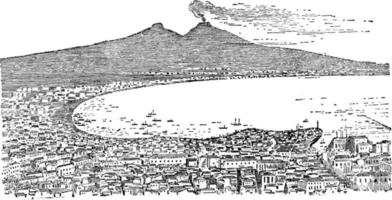 baia di Napoli e vesuvio, Vintage ▾ illustrazione. vettore