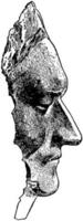 Morte maschera di signore isaac newton, Vintage ▾ illustrazione vettore