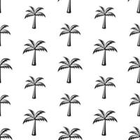 modello senza soluzione di continuità di palma albero nel stile Vintage ▾, retrò, inciso. - vettore illustrazioni