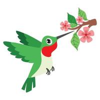 cartone animato disegno di un' colibrì vettore