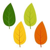 impostato di verde, giallo e rosso le foglie isolato su bianca sfondo. vettore illustrazione di autunno le foglie.