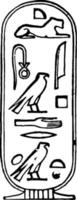 geroglifici, cartiglio di cleopatra, Vintage ▾ illustrazione. vettore