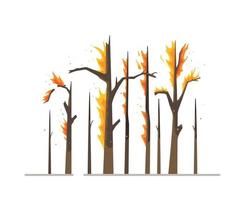 vettore illustrazione di bruciato alberi. asciutto ardente alberi isolato su bianca sfondo.