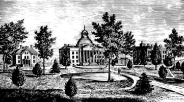 Missouri stato Università Vintage ▾ illustrazione vettore