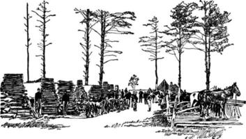 cavalleria campo, Vintage ▾ illustrazione. vettore