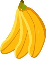 un' mazzo di 3 banane, vettore o colore illustrazione.