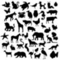 una serie di animali silhouette
