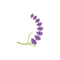 lavanda fiore vettore icona illustrazione