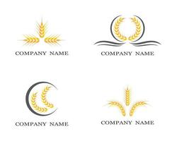 set di simboli di grano vettore