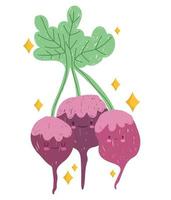 cartone animato barbabietola verdura cibo portafortuna icona vettore