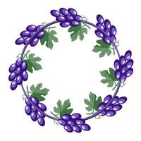 il giro telaio, luminosa viola succoso uva con foglie, copia spazio, vettore illustrazione nel cartone animato stile