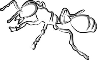 formica schizzo, illustrazione, vettore su bianca sfondo.