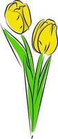 giallo tulipani, illustrazione, vettore su bianca sfondo.
