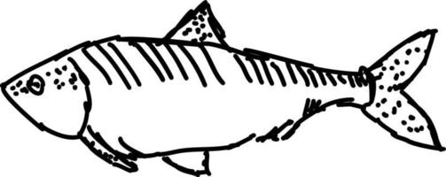 pesce disegno, illustrazione, vettore su bianca sfondo.