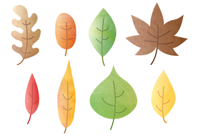 Acquerello gratuito foglie d'autunno vettore