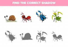formazione scolastica gioco per bambini trova il corretta ombra impostato di carino cartone animato lumaca formica scarafaggio mantide stampabile insetto foglio di lavoro vettore